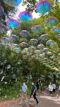 ムーミンバレーパークに投稿された画像（2023/6/18）