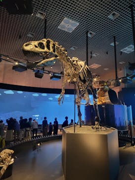 国立科学博物館に投稿された画像（2023/6/18）