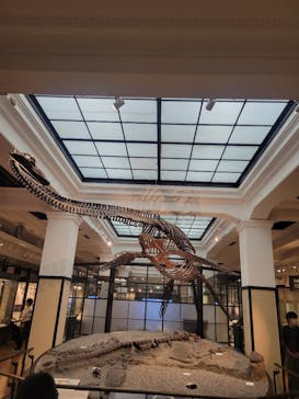 国立科学博物館に投稿された画像（2023/6/18）