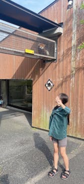 到津の森公園に投稿された画像（2023/6/18）