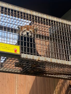 到津の森公園に投稿された画像（2023/6/18）