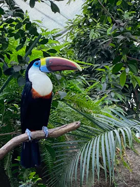 神戸どうぶつ王国に投稿された画像（2023/6/18）