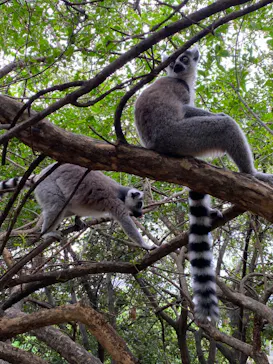 神戸どうぶつ王国に投稿された画像（2023/6/18）