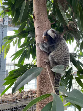 神戸どうぶつ王国に投稿された画像（2023/6/18）