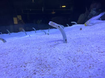 マリンワールド海の中道に投稿された画像（2023/6/18）