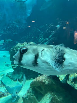 マリンワールド海の中道に投稿された画像（2023/6/18）