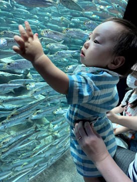 サンシャイン水族館に投稿された画像（2023/6/18）