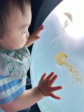 サンシャイン水族館に投稿された画像（2023/6/18）