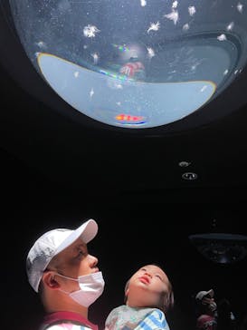 サンシャイン水族館に投稿された画像（2023/6/18）