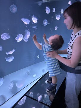 サンシャイン水族館に投稿された画像（2023/6/18）