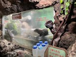 伊豆シャボテン動物公園に投稿された画像（2023/6/19）