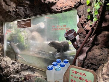 伊豆シャボテン動物公園に投稿された画像（2023/6/18）