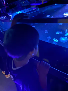 すみだ水族館に投稿された画像（2023/6/18）