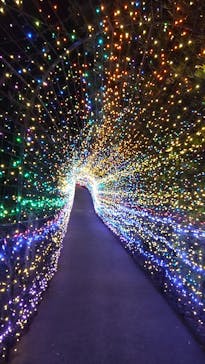 伊豆ぐらんぱる公園に投稿された画像（2023/6/18）