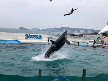 鴨川シーワールドに投稿された画像（2023/6/18）