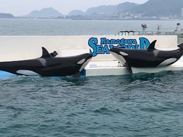 鴨川シーワールドに投稿された画像（2023/6/18）