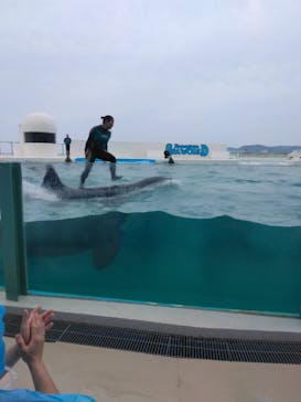 鴨川シーワールドに投稿された画像（2023/6/18）