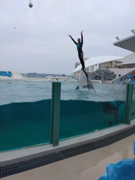 鴨川シーワールドに投稿された画像（2023/6/18）