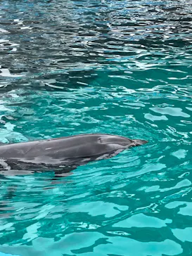 名古屋港水族館に投稿された画像（2023/6/18）