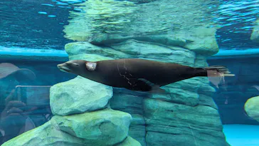 天王寺動物園に投稿された画像（2023/6/19）