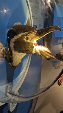 天王寺動物園に投稿された画像（2023/6/19）