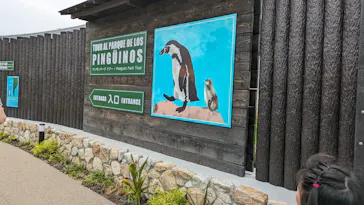 天王寺動物園に投稿された画像（2023/6/19）