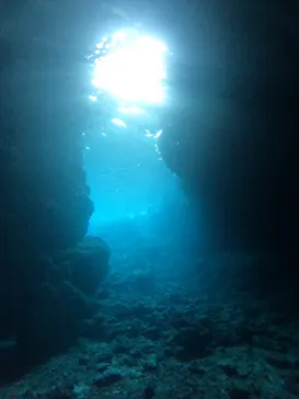 武藤潜水に投稿された画像（2023/6/19）