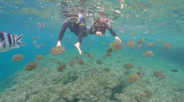 武藤潜水に投稿された画像（2023/6/19）