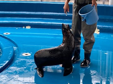 大分マリーンパレス水族館 「うみたまご」に投稿された画像（2023/6/19）