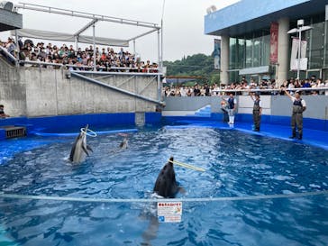 大分マリーンパレス水族館 「うみたまご」に投稿された画像（2023/6/19）