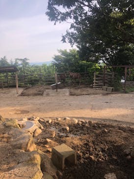 群馬サファリパークに投稿された画像（2023/6/19）