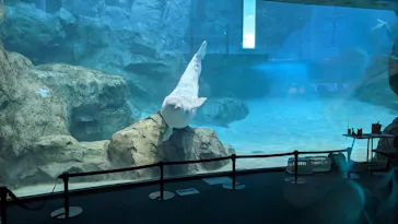 名古屋港水族館に投稿された画像（2023/6/19）
