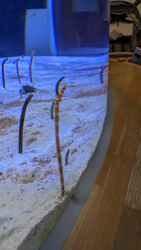 名古屋港水族館に投稿された画像（2023/6/19）