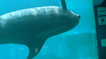 名古屋港水族館に投稿された画像（2023/6/19）