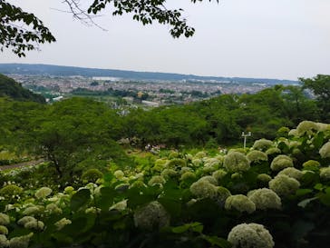 わんダフルネイチャーヴィレッジに投稿された画像（2023/6/19）