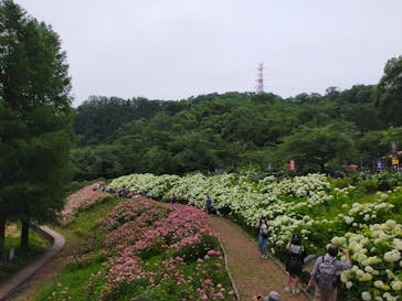 わんダフルネイチャーヴィレッジに投稿された画像（2023/6/19）