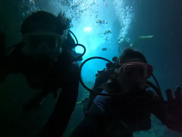 武藤潜水に投稿された画像（2023/6/19）