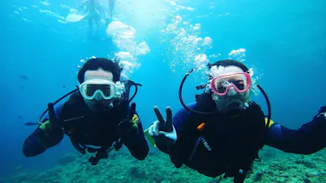 武藤潜水に投稿された画像（2023/6/19）