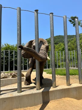 しろとり動物園に投稿された画像（2023/6/19）