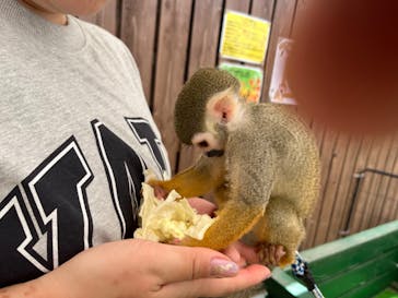 しろとり動物園に投稿された画像（2023/6/19）