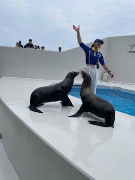 鴨川シーワールドに投稿された画像（2023/6/19）