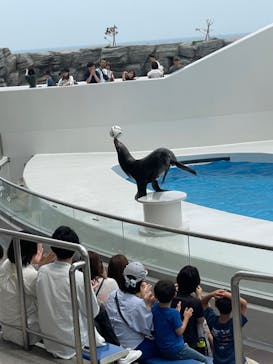 鴨川シーワールドに投稿された画像（2023/6/19）
