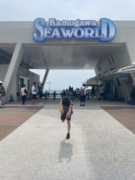 鴨川シーワールドに投稿された画像（2023/6/19）