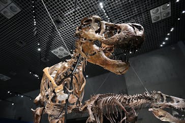 特別展「恐竜博2023」に投稿された画像（2023/6/19）