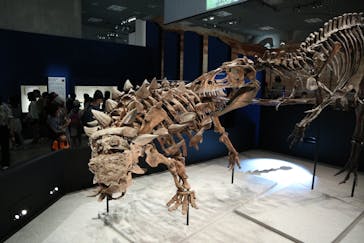 特別展「恐竜博2023」に投稿された画像（2023/6/19）