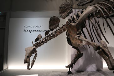 特別展「恐竜博2023」に投稿された画像（2023/6/19）