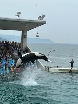 鴨川シーワールドに投稿された画像（2023/6/19）