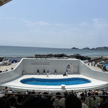 鴨川シーワールドに投稿された画像（2023/6/19）