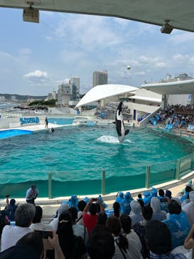 鴨川シーワールドに投稿された画像（2023/6/19）