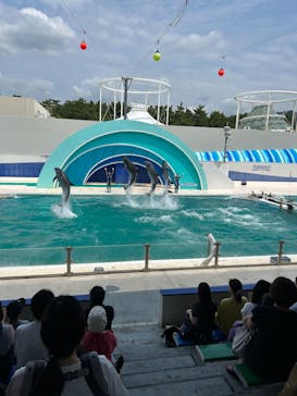 鴨川シーワールドに投稿された画像（2023/6/19）